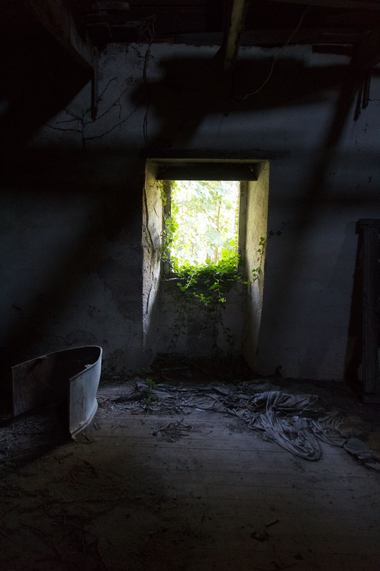 L' Oeil Noir Photographie